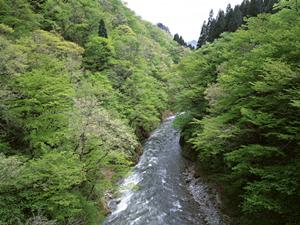 山梨県甲府市のビジネスホテル「東横INN甲府駅南口1」の魅力と詳細情報