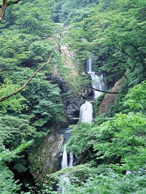 東横INN桐生駅南口：快適な宿泊体験と便利なアクセスを提供する群馬のビジネスホテル