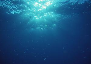 北海道札幌市中心に位置する東横INN札幌駅南口の魅力と概要