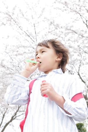 家族で楽しむ石垣島アクティビティ！子供も安心の自然体験ガイド