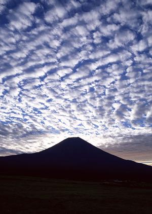 熊本市中心部に位置する快適なビジネスホテル：東横INN熊本城通町筋の魅力と詳細情報