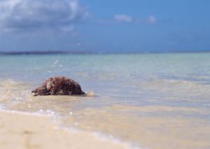 東京都品川区大井町のビジネスホテル「東横INN品川大井町」完全ガイド：快適な滞在と便利なアクセスを実現