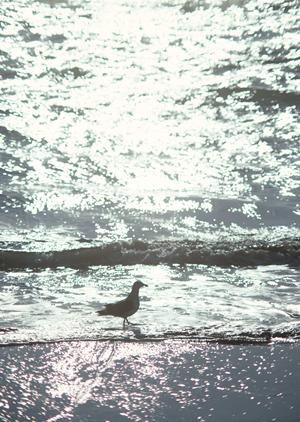 横手駅前に位置する快適なビジネス・観光に最適なホテル｜横手プラザホテル＆PLAZA EAST CABINの魅力と詳細情報