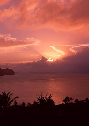 2025年最新！新宿の映画館徹底ガイド：アクセス・作品情報・予約方法を完全解説