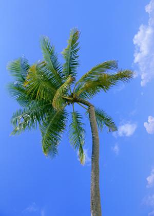 島根県浜田市にある東横INN浜田駅北口：快適な滞在を実現するビジネスホテルの魅力と詳細情報
