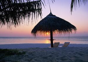 成田空港アクセス便利！東横INN成田空港新館の魅力と詳細情報