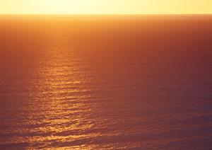 仙台駅西口から徒歩5分！快適でお得なビジネスホテル、東横INN仙台駅西口中央の魅力と詳細情報